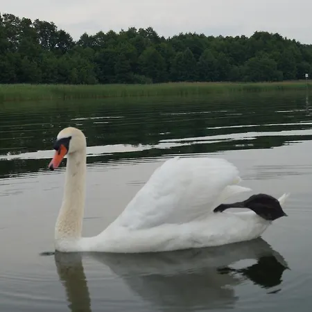 Haus Am See Storkow  Buitenkant foto